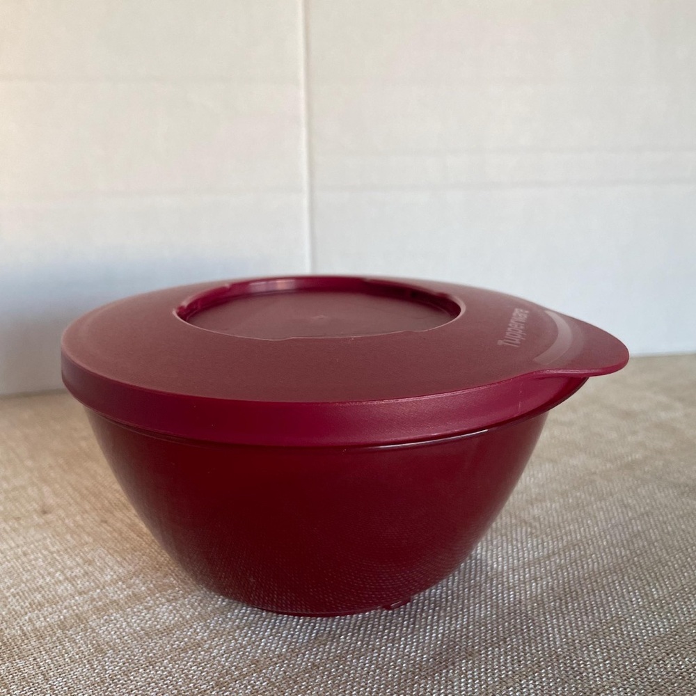 Tupperware Small bowl soup container